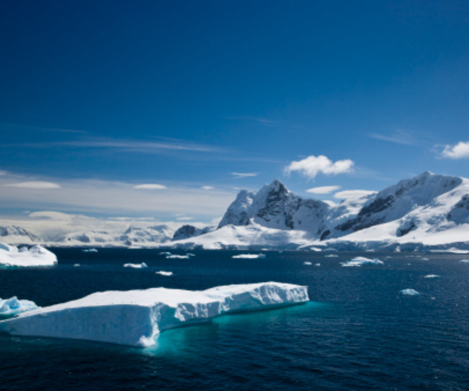 A tabular iceberg floating within Paradise Harbour, Antarctica